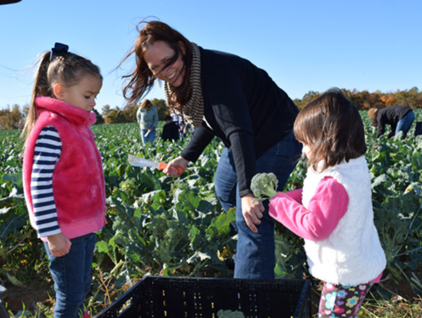 about-us-our-ministries-two-col